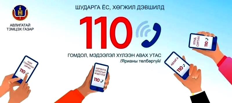 ИРГЭН ТА 110 ДУГААРТ АВЛИГАТАЙ ХОЛБООТОЙ ГОМДОЛ, МЭДЭЭЛЛИЙГ ӨГӨӨРЭЙ